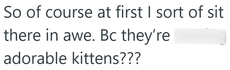 So of course at first I sort of sit there in awe. Bc they're adorable kittens???