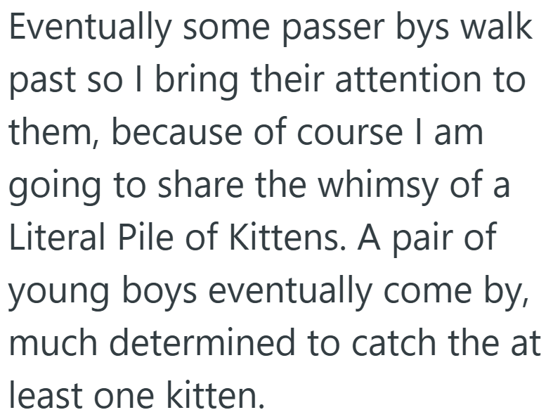 Eventually some passer bys walk past so I bring their attention to them, because of course I am going to share the whimsy of a Literal Pile of Kittens. A pair of young boys eventually come by, much determined to catch the at least one kitten.