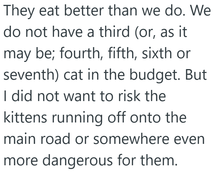 They eat better than we do. We do not have a third (or, as it may be; fourth, fifth, sixth or seventh) cat in the budget. But I did not want to risk the kittens running off onto the main road or somewhere even more dangerous for them.
