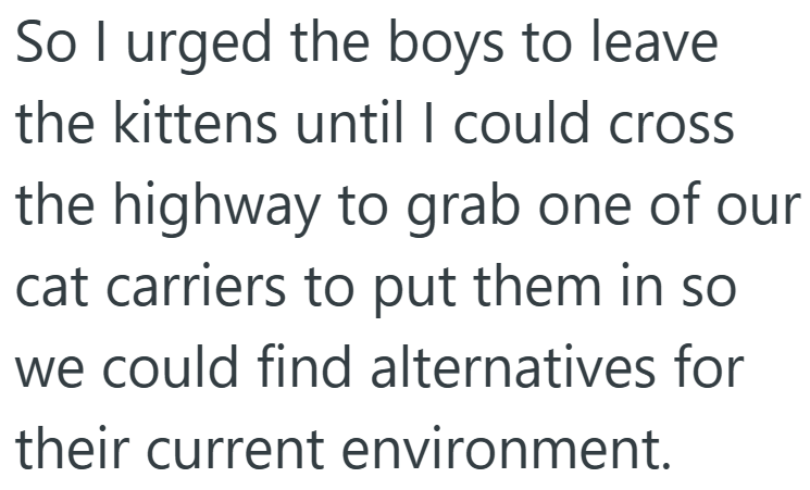 So I urged the boys to leave the kittens until I could cross the highway to grab one of our cat carriers to put them in so we could find alternatives for their current environment.