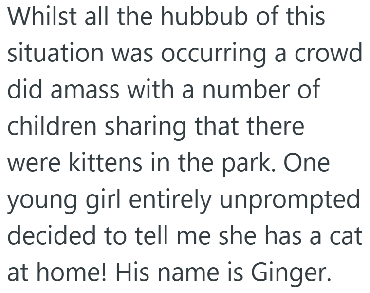 Whilst all the hubbub of this situation was occurring a crowd did amass with a number of children sharing that there were kittens in the park. One young girl entirely unprompted decided to tell me she has a cat at home! His name is Ginger.