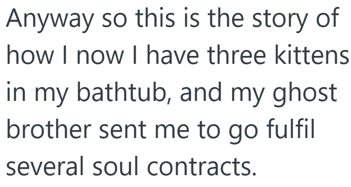 Anyway so this is the story of how I now I have three kittens in my bathtub, and my ghost brother sent me to go fulfil several soul contracts.