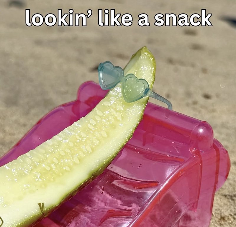 lookin' like a snack