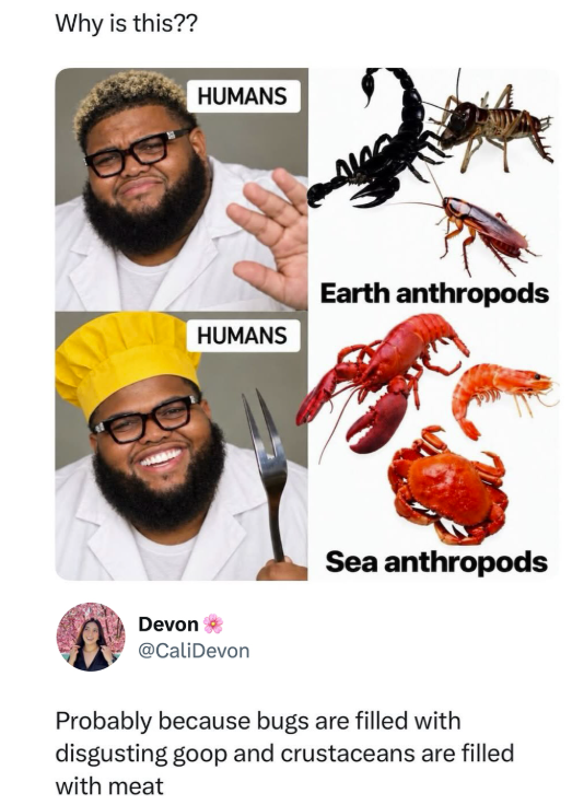 Why is this?? HUMANS HUMANS Earth anthropods Devon @CaliDevon Sea anthropods Probably because bugs are filled with disgusting goop and crustaceans are filled with meat