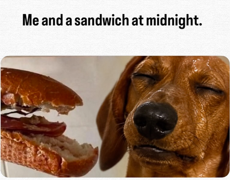Me and a sandwich at midnight.
