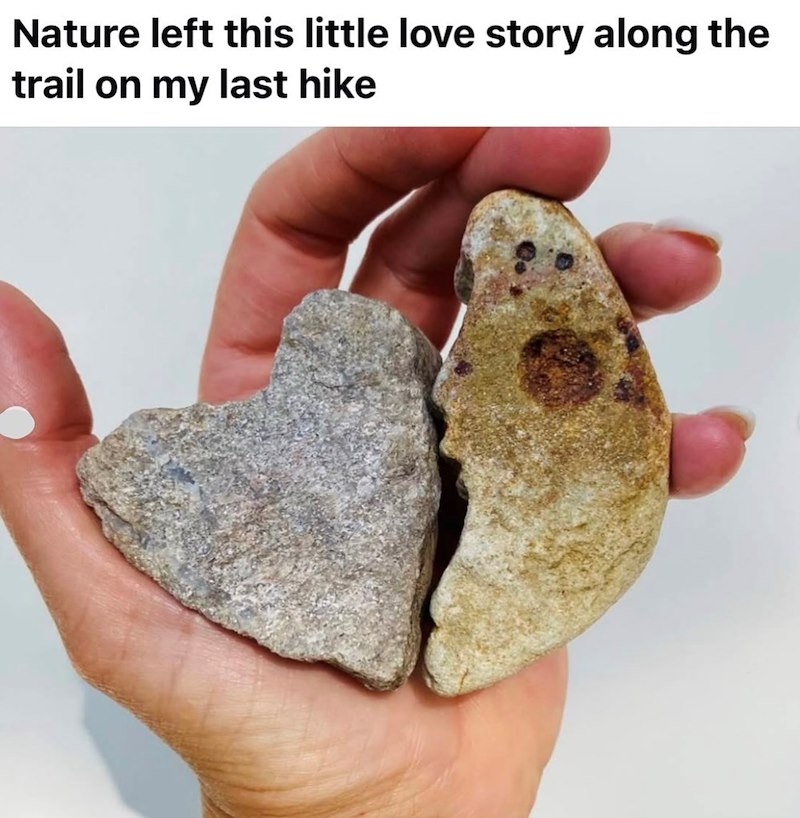 Nature left this little love story along the trail on my last hike