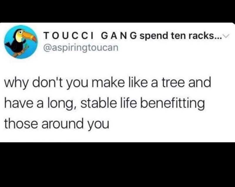 TOUCCI GANG spend ten racks... @aspiringtoucan why don't you make like a tree and have a long, stable life benefitting those around you