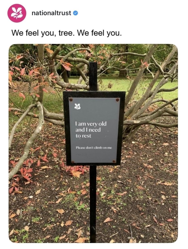 nationaltrust We feel you, tree. We feel you. X I am very old and I need to rest Please don't climb on me