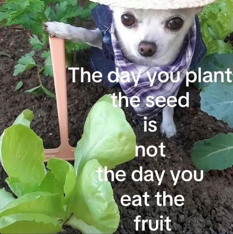 The day you plant the seed is not the day you eat the fruit
