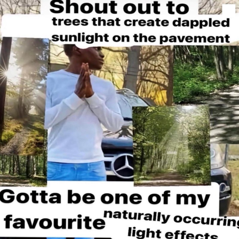 Shout out to trees that create dappled sunlight on the pavement Gotta be one of my favourite naturally occurring light effects