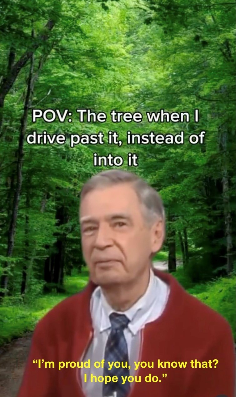 POV: The tree when I drive past it, instead of into it "I'm proud of you, you know that? I hope you do."