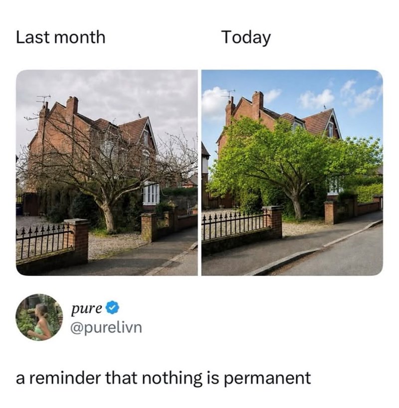 Last month Today pure @purelivn a reminder that nothing is permanent