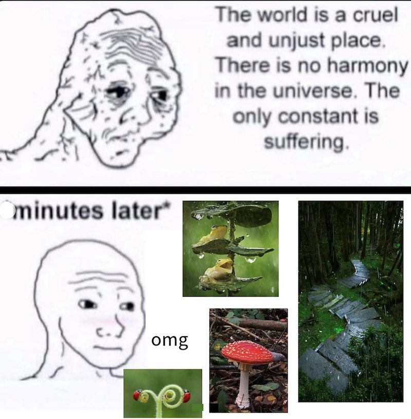 Ominutes later* omg The world is a cruel and unjust place. There is no harmony in the universe. The only constant is suffering.