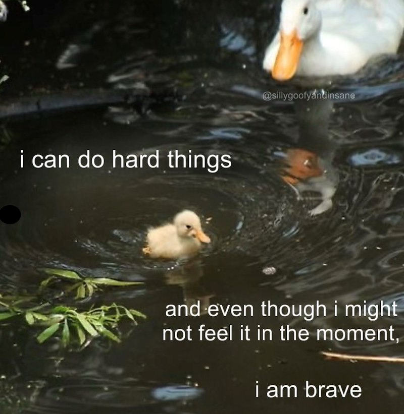 i can do hard things @sillygoofyandinsane and even though i might not feel it in the moment, i am brave