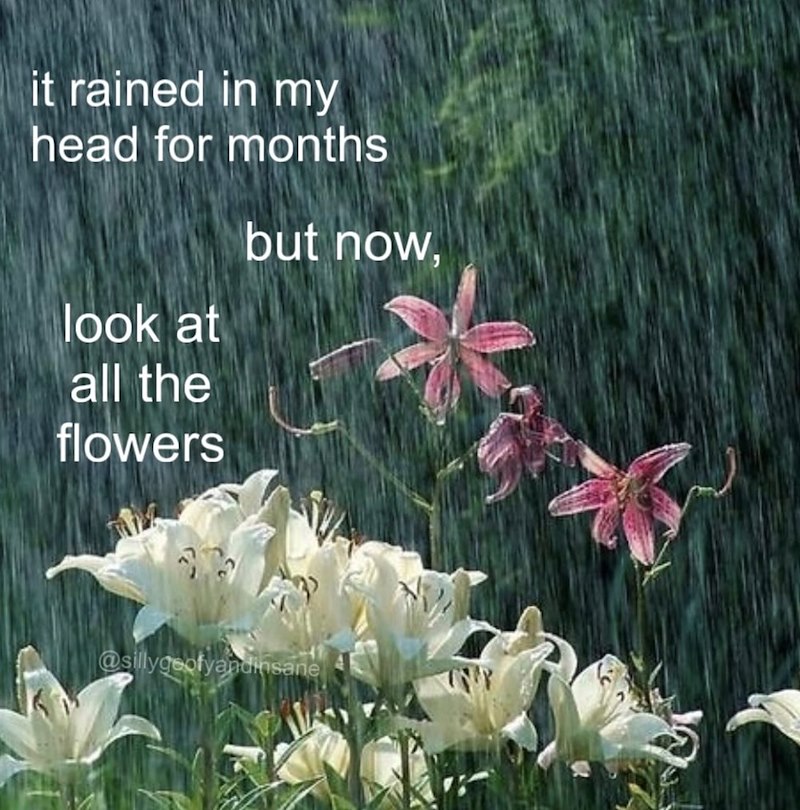 it rained in my head for months look at all the flowers but now, @sillygeofyandinsane