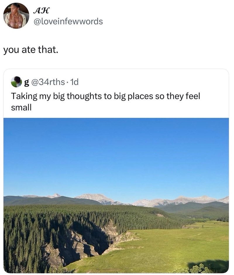 AH @loveinfewwords you ate that. g@34rths. 1d Taking my big thoughts to big places so they feel small