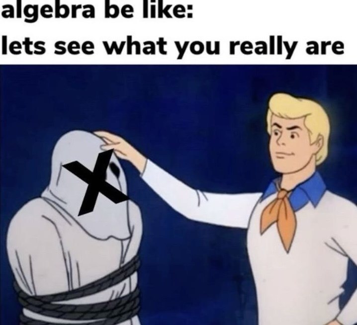 algebra be like: lets see what you really are f 16