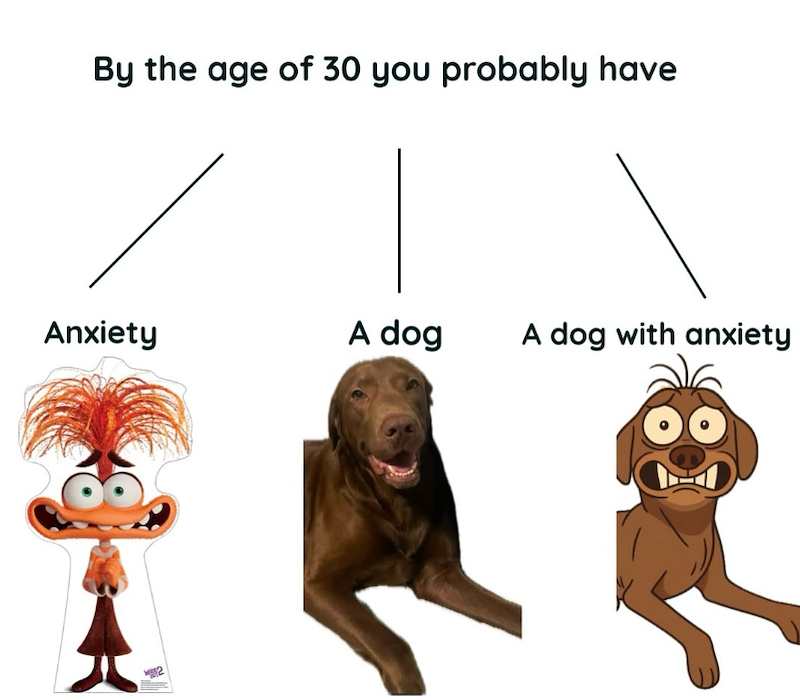By the age of 30 you probably have Anxiety A dog A dog with anxiety