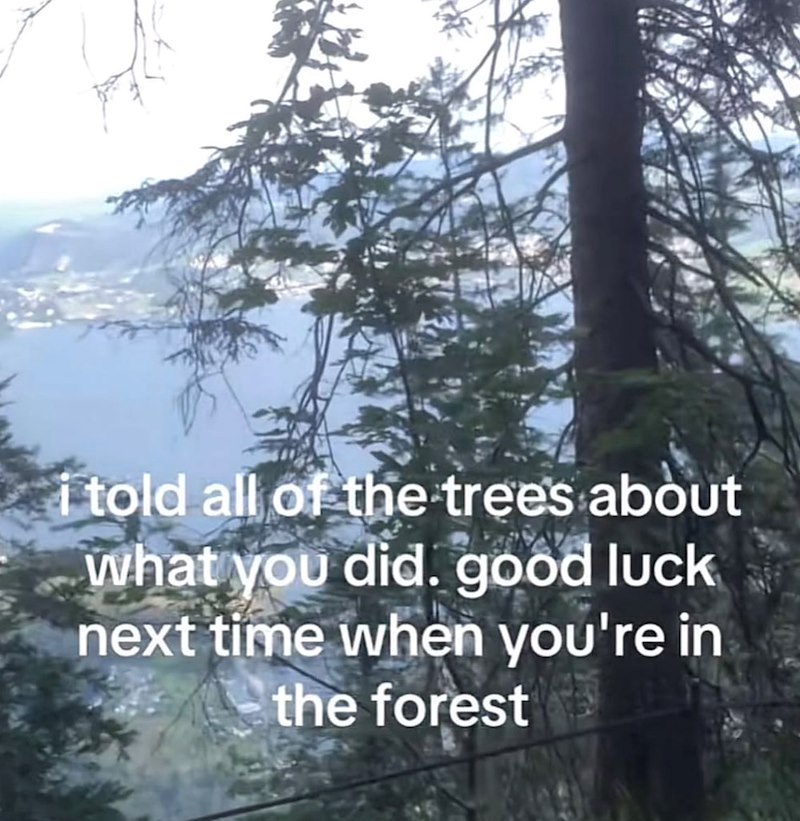 i told all of the trees about what you did. good luck next time when you're in the forest