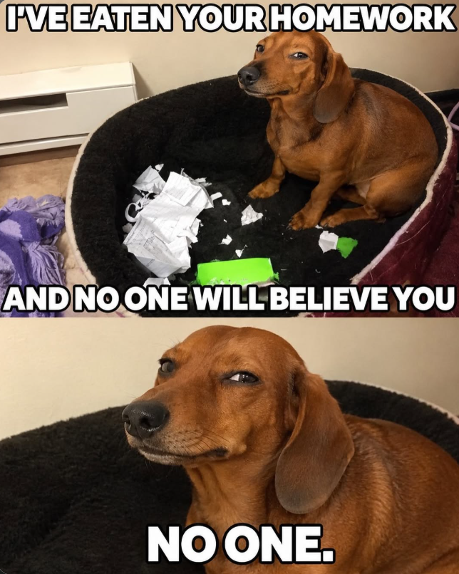 I'VE EATEN YOUR HOMEWORK AND NO ONE WILL BELIEVE YOU NO ONE.