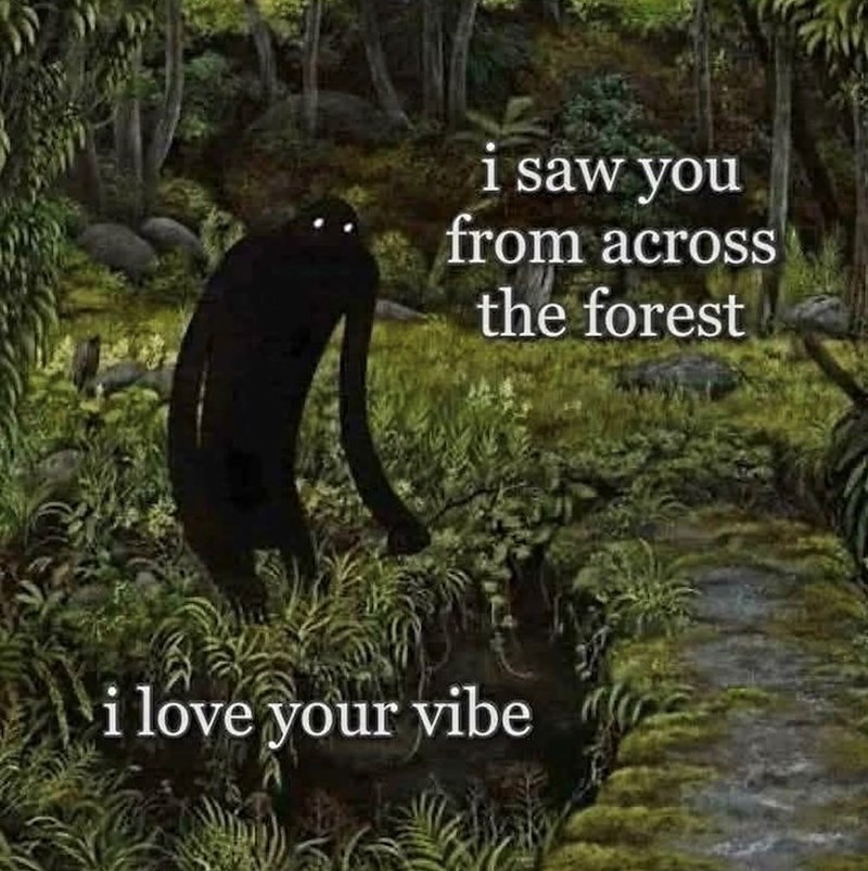 i saw you from across the forest i love your vibe