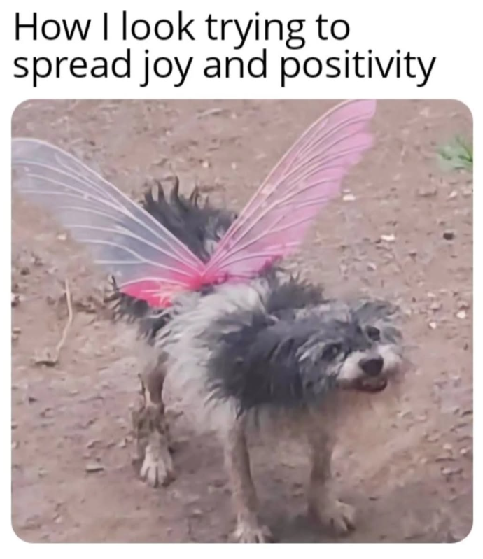 How I look trying to spread joy and positivity