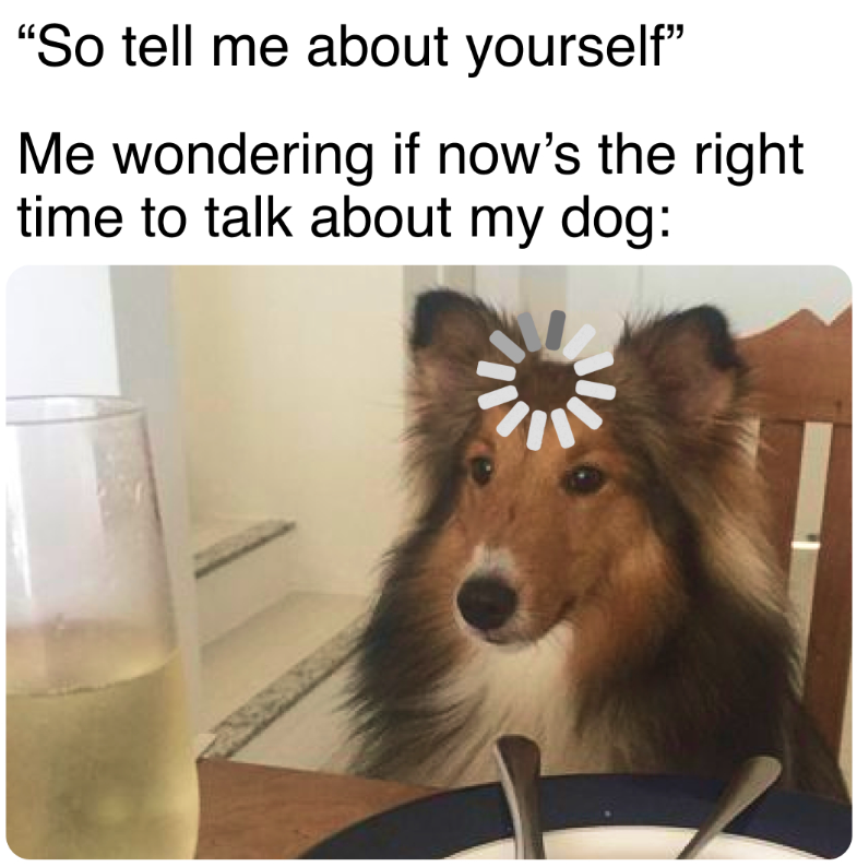 "So tell me about yourself" Me wondering if now's the right time to talk about my dog: