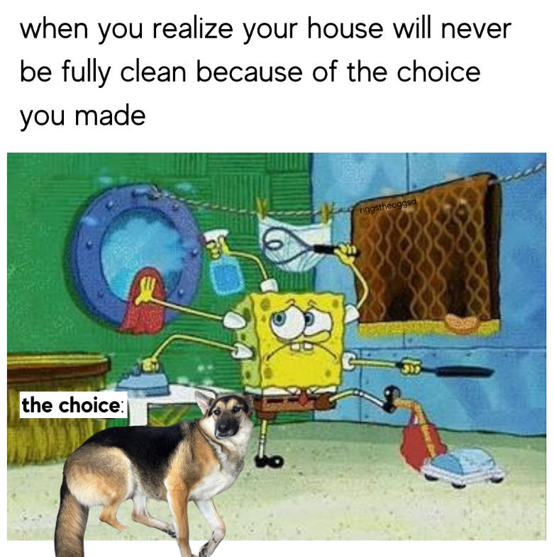 when you realize your house will never be fully clean because of the choice you made the choice: riggstheoggsd