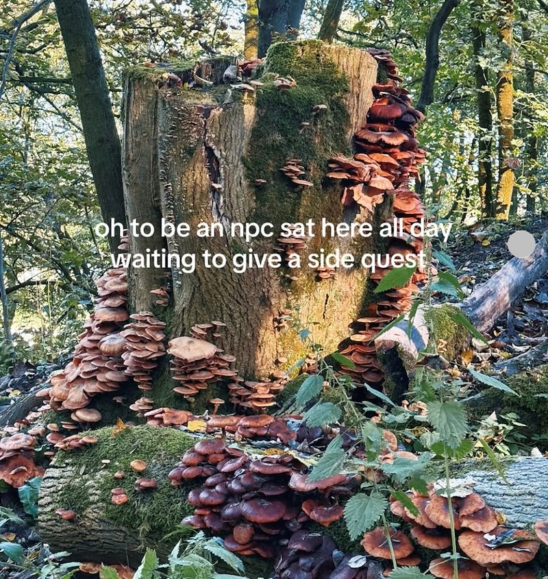 oh to be an npc sat here all day waiting to give a side quest