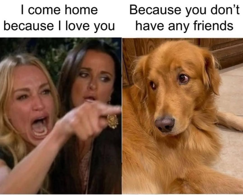 I come home because I love you Because you don't have any friends