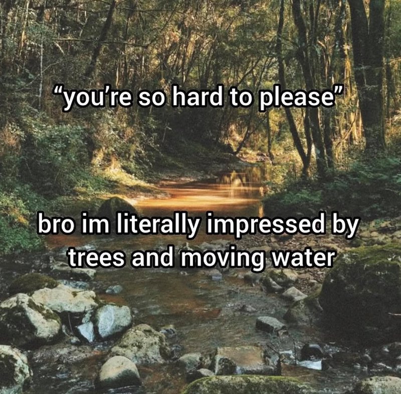"you're so hard to please" bro im literally impressed by trees and moving water