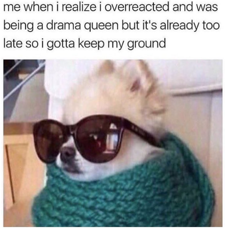 me when i realize i overreacted and was being a drama queen but it's already too late so i gotta keep my ground