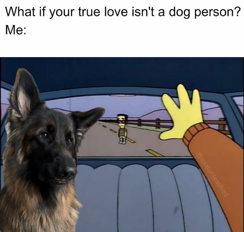 What if your true love isn't a dog person? Me: @axelunleashed