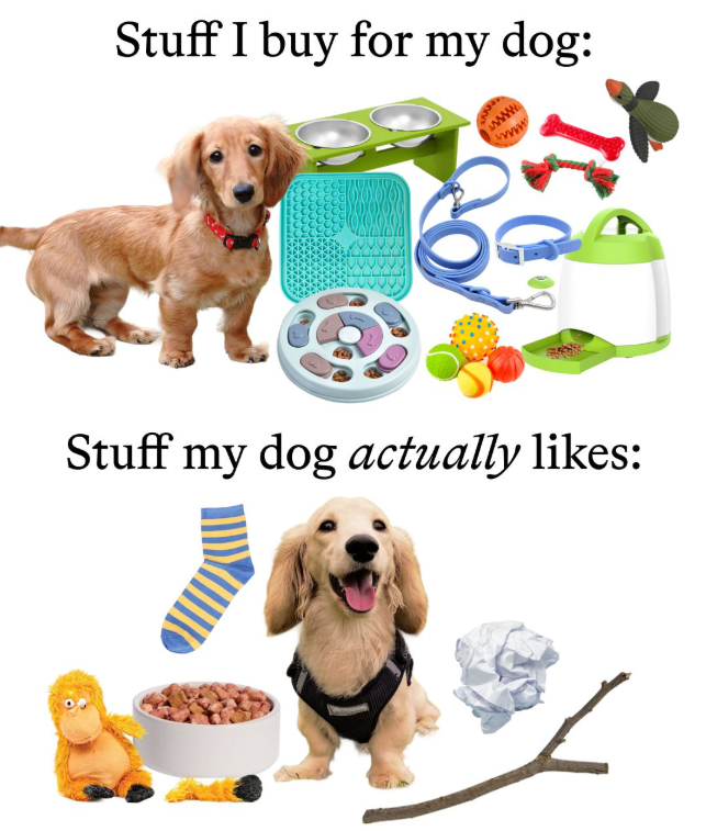 Stuff I buy for my dog: wwwww. wwww Stuff my dog actually likes: