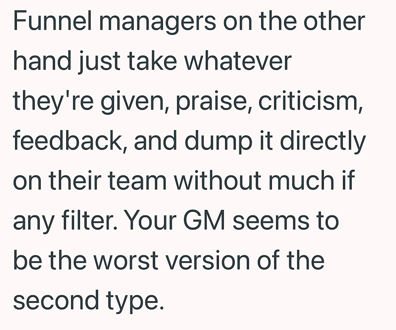 Funnel managers on the other hand just take whatever they're given, praise, criticism, feedback, and dump it directly on their team without much if any filter. Your GM seems to be the worst version of the second type.