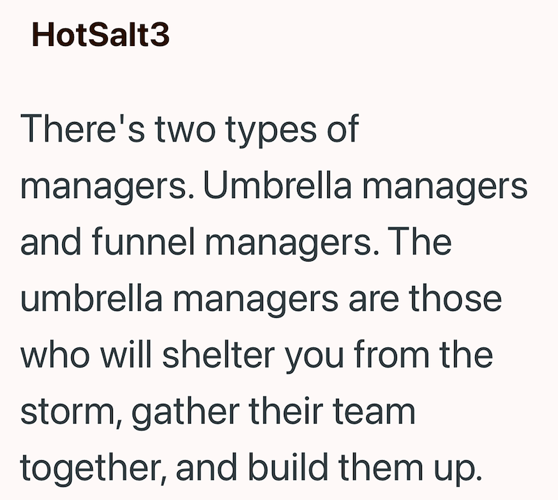 HotSalt3 There's two types of managers. Umbrella managers and funnel managers. The umbrella managers are those who will shelter you from the storm, gather their team together, and build them up.