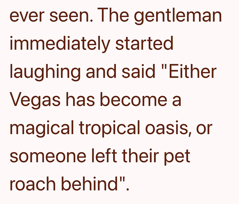 ever seen. The gentleman immediately started laughing and said "Either Vegas has become a magical tropical oasis, or someone left their pet roach behind".