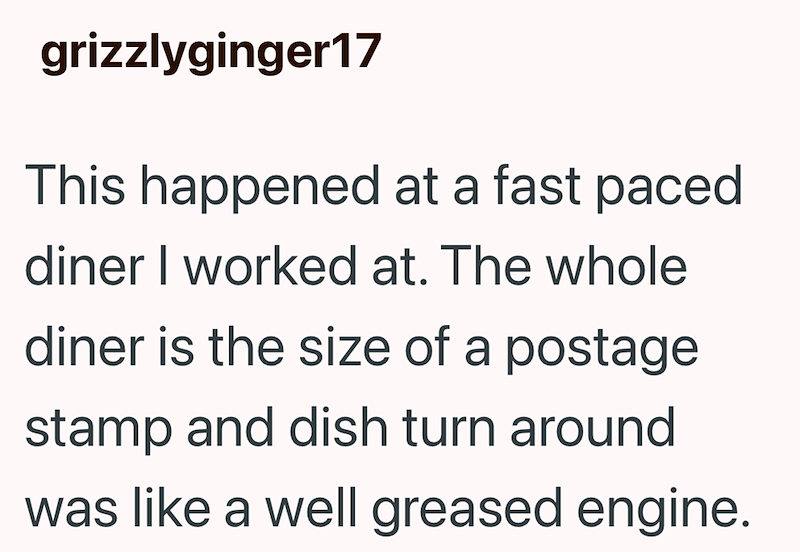 grizzlyginger17 This happened at a fast paced diner I worked at. The whole diner is the size of a postage stamp and dish turn around was like a well greased engine.