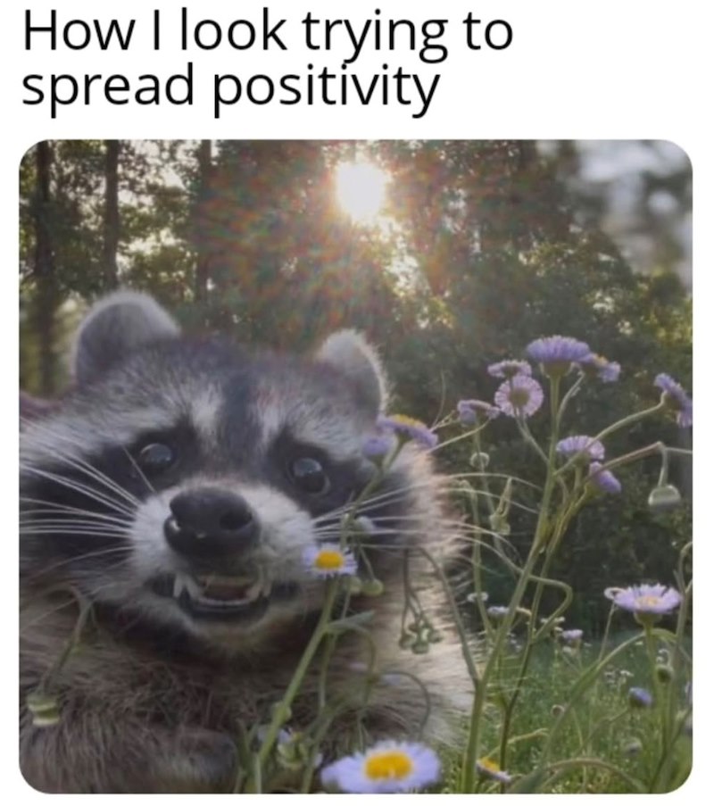 How I look trying to spread positivity