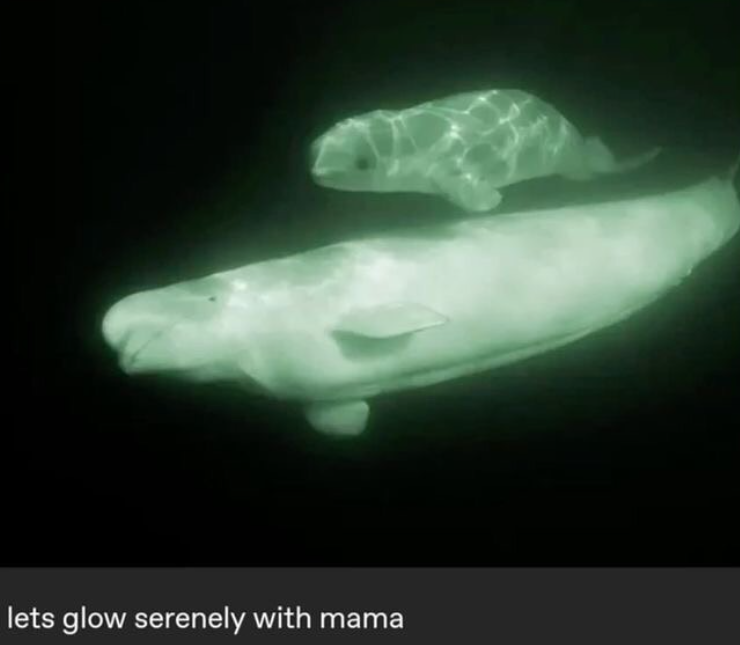 lets glow serenely with mama