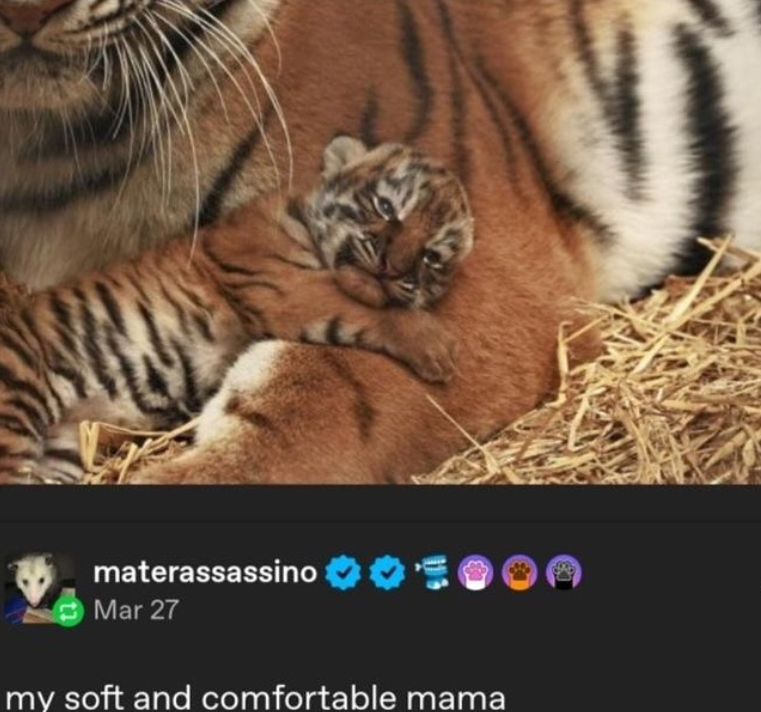 materassassino Mar 27 my soft and comfortable mama