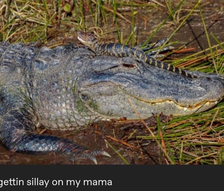 gettin sillay on my mama