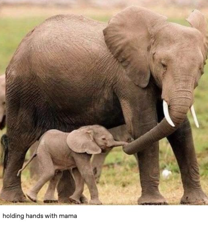 holding hands with mama