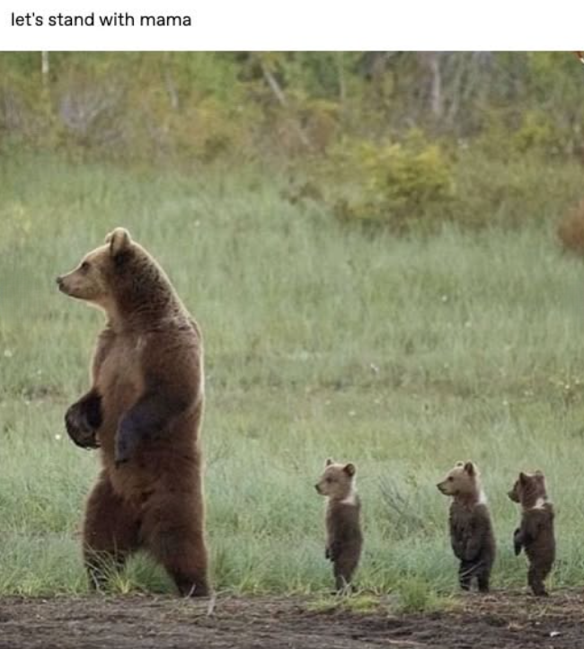 let's stand with mama