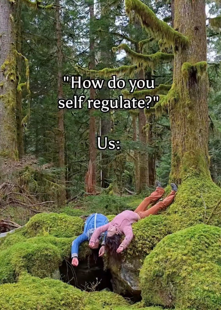 "How do you self regulate?" Us: