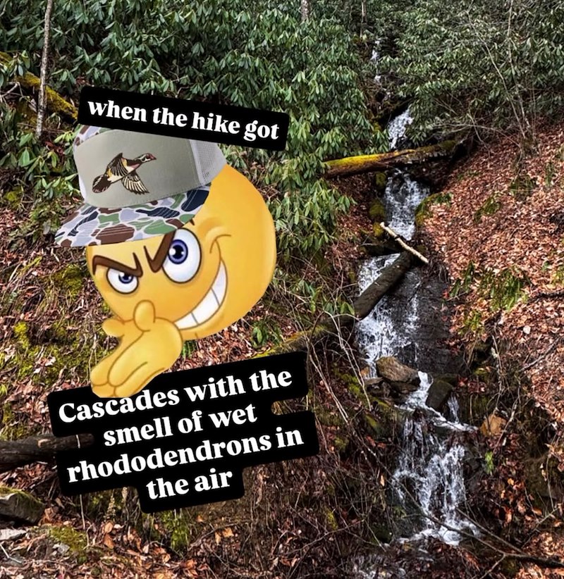 when the hike got Cascades with the smell of wet rhododendrons in the air