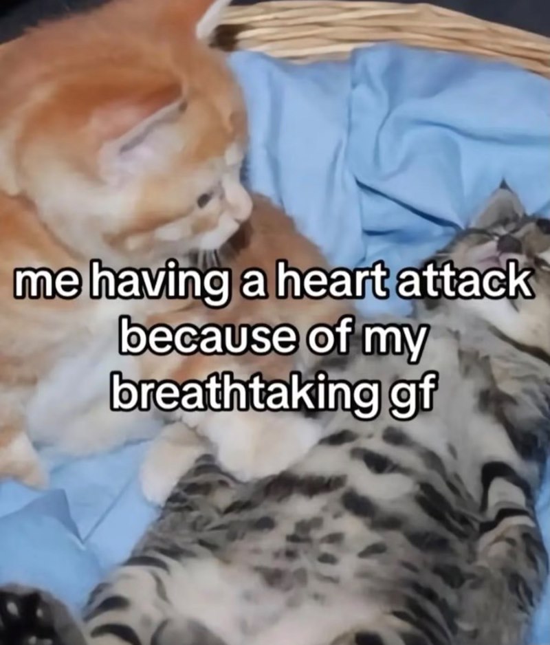 me having a heart attack because of my breathtaking gf
