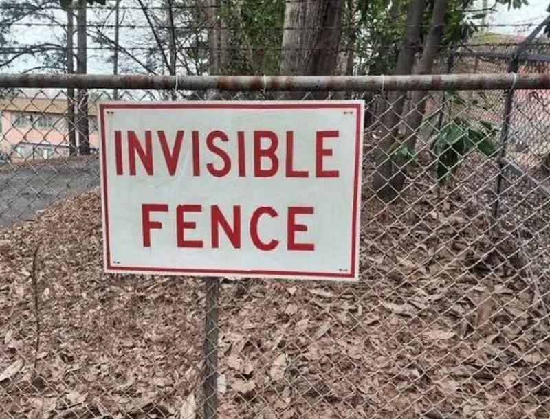 INVISIBLE FENCE