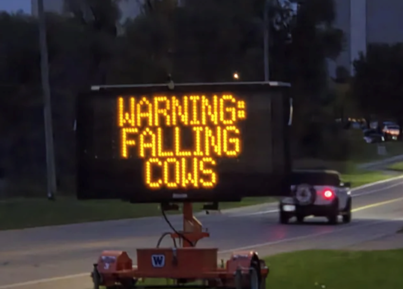 WARNING: FALLING COWS