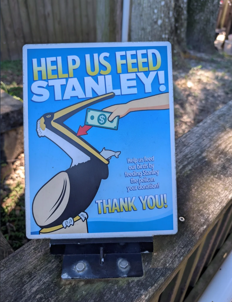 HELP US FEED STANLEY! $ Help us feed our birds by feeding Stanley the pelican your donation! THANK YOU!